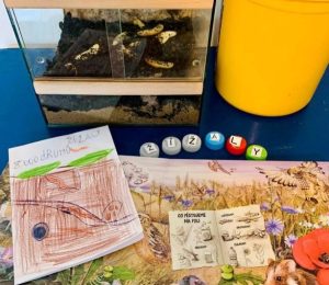 Škola za bukem (18)