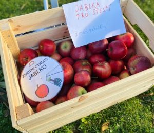 Škola za bukem (24)