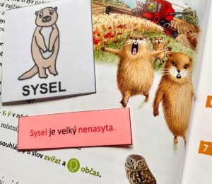 Škola za bukem (39)