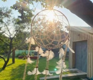 Škola za bukem (42)