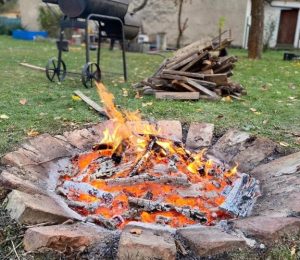 Škola za bukem (85)